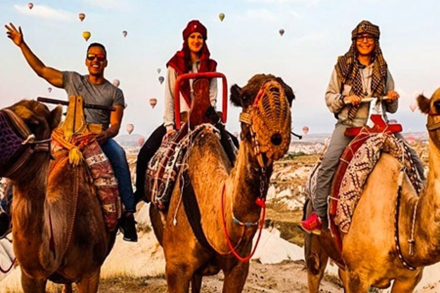 Camel Safari Tour